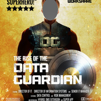 Who is the Data Guardian?